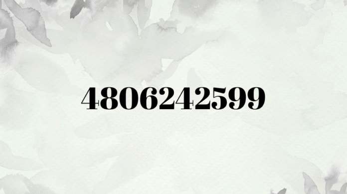 4806242599